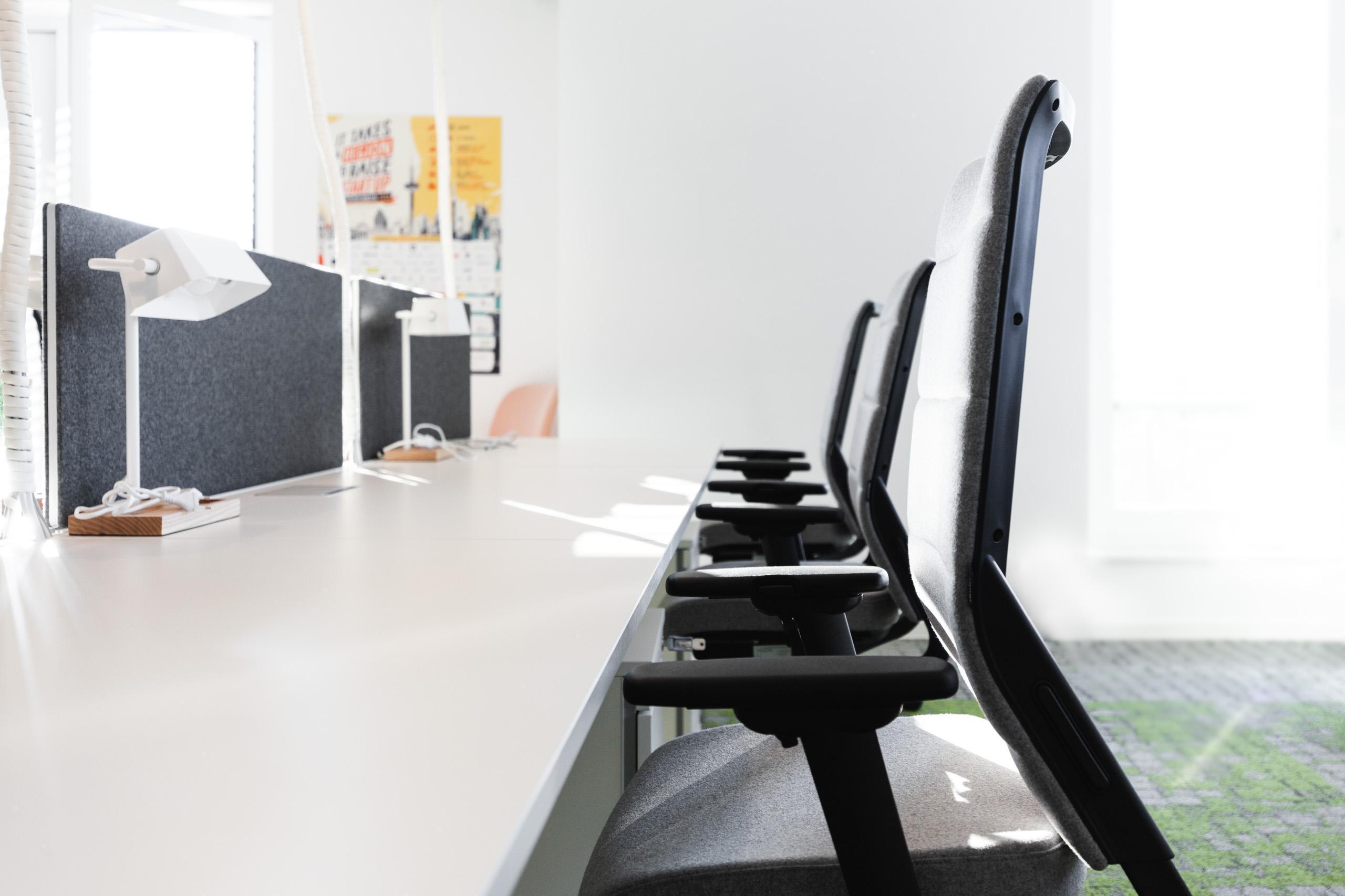 Kinzig Valley image 4