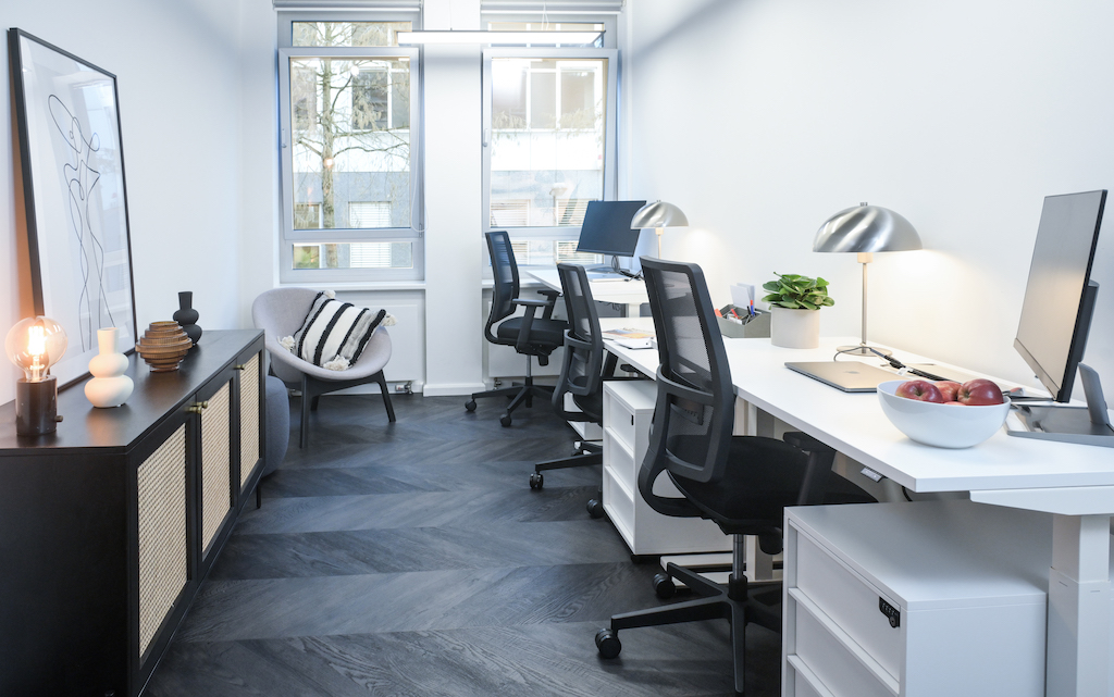 EV Work Edition image 2