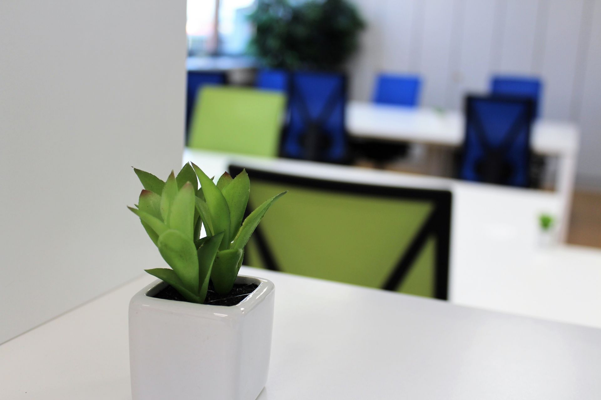 TERRA Business Coworking Space Offenburg image 2