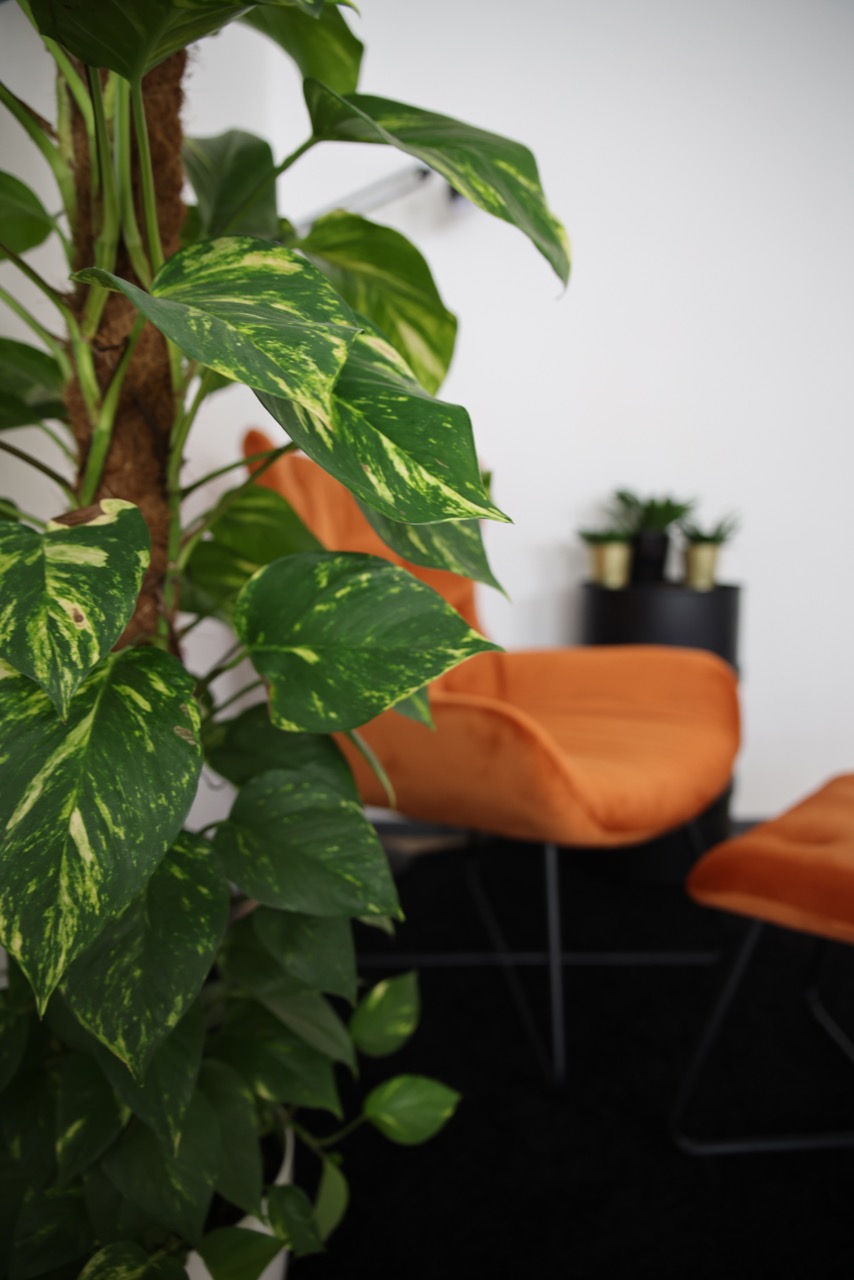 Raum fur Visionare image 2