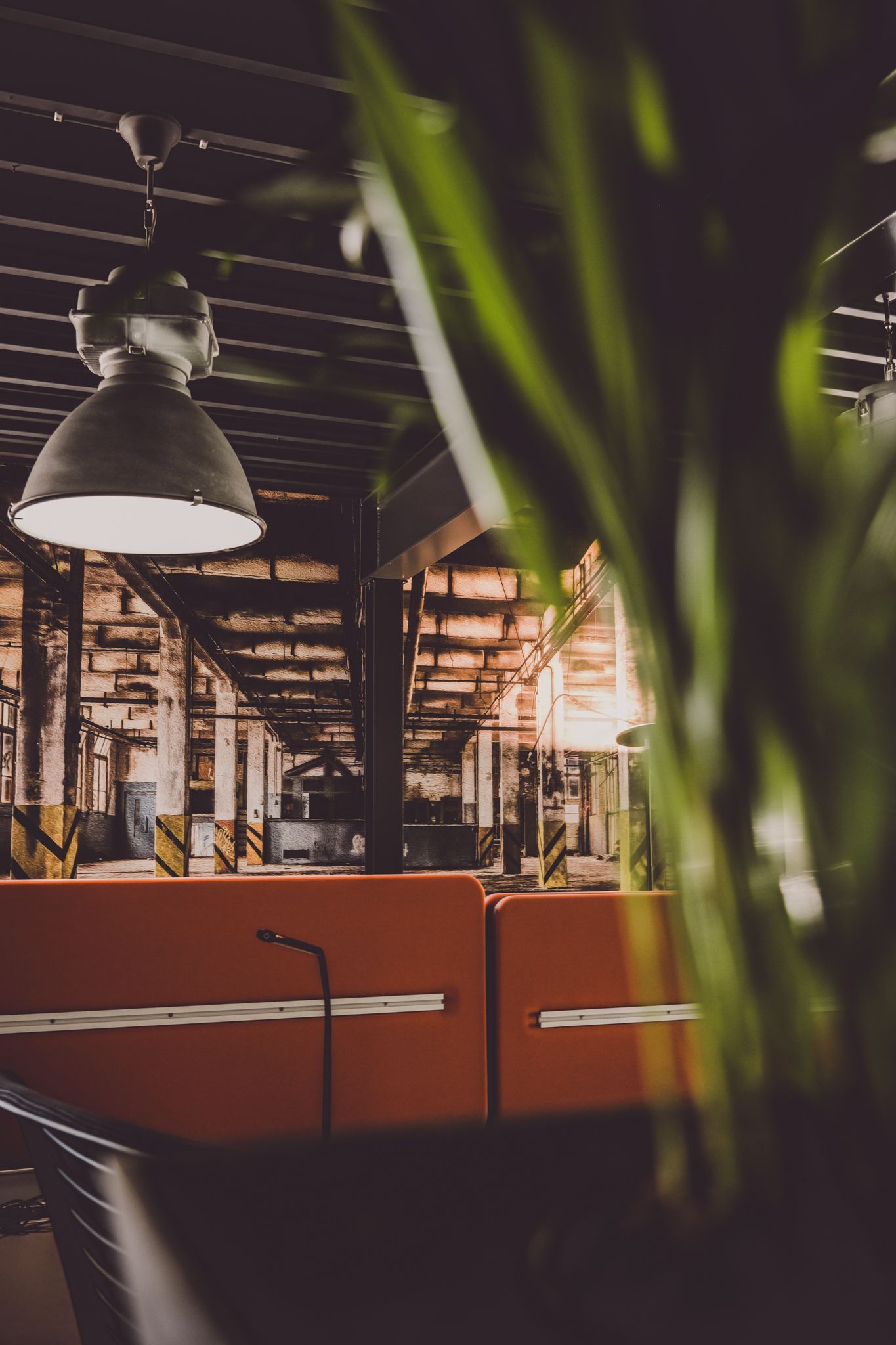 Vision Uelsen image 3