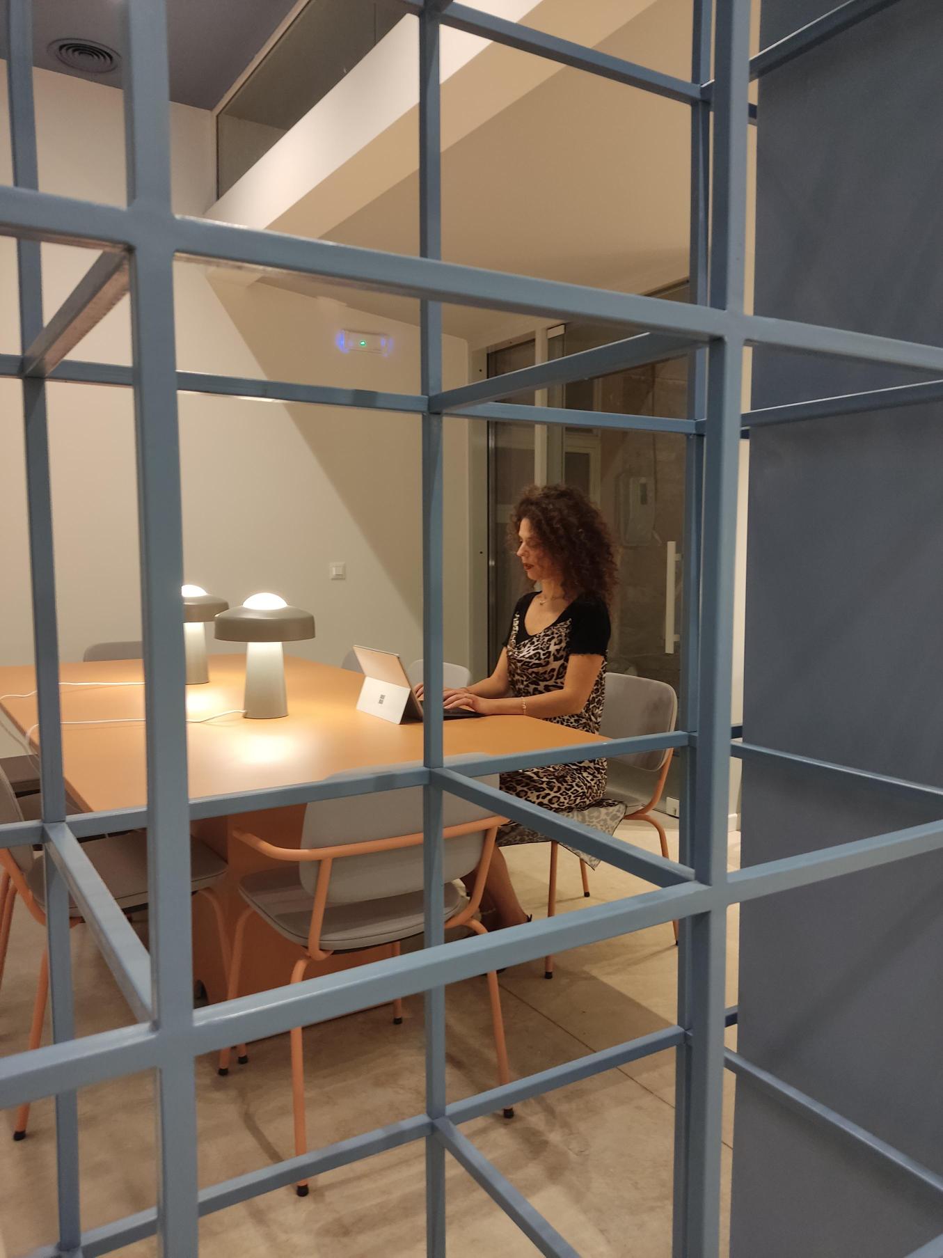 SiLICON urban ecosystem image 4