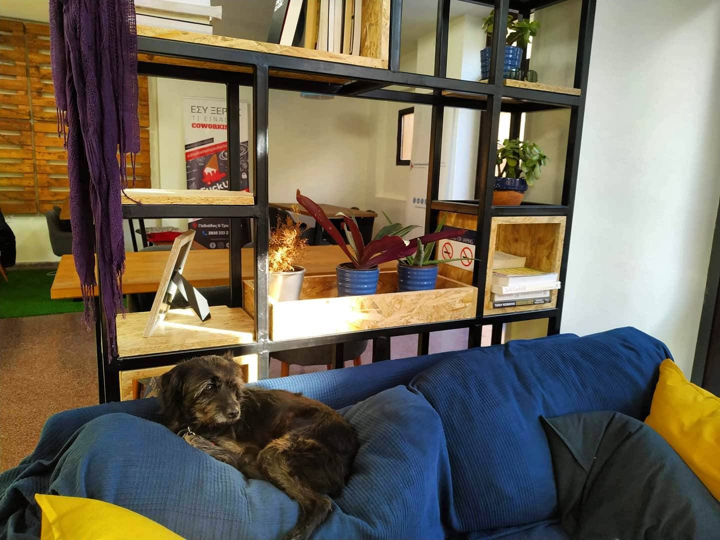 FuckUp Coworking Space 24/7 image 2