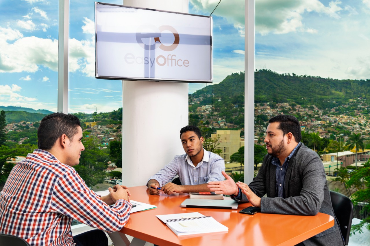 Easyofficehn image 2