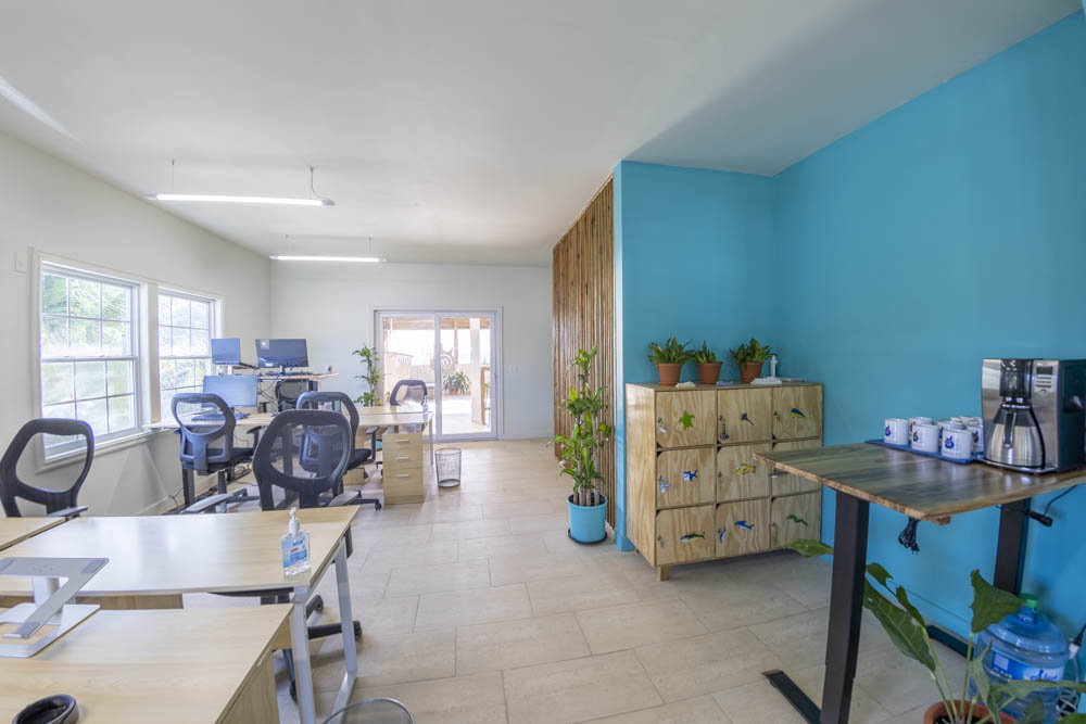 Roatan BeachDesk image 4