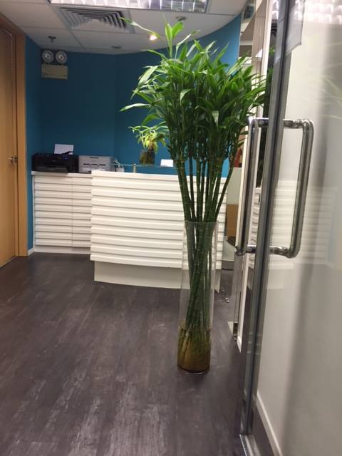 Centrazur Business Center image 5