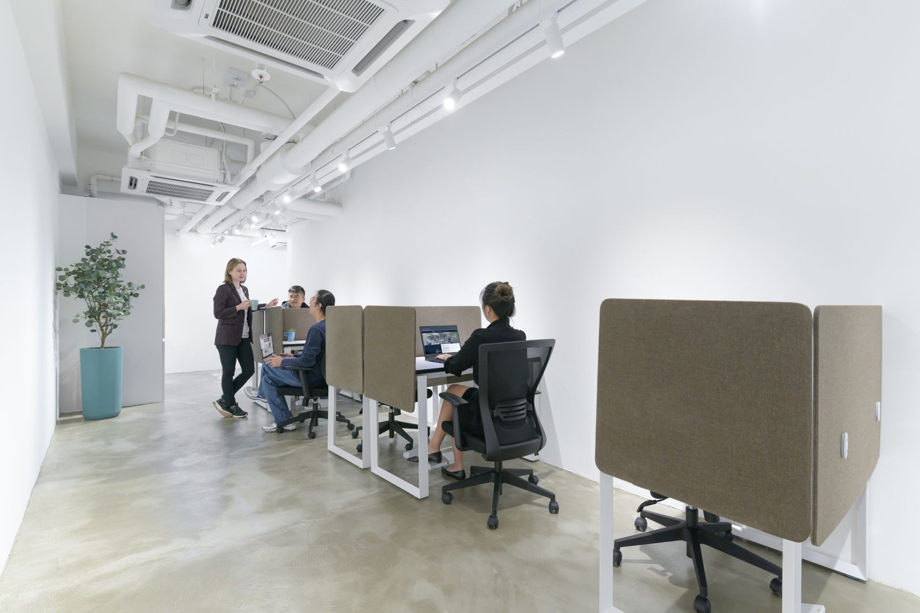 Thedesk Strand 50 Hong Kong Book Online Coworker