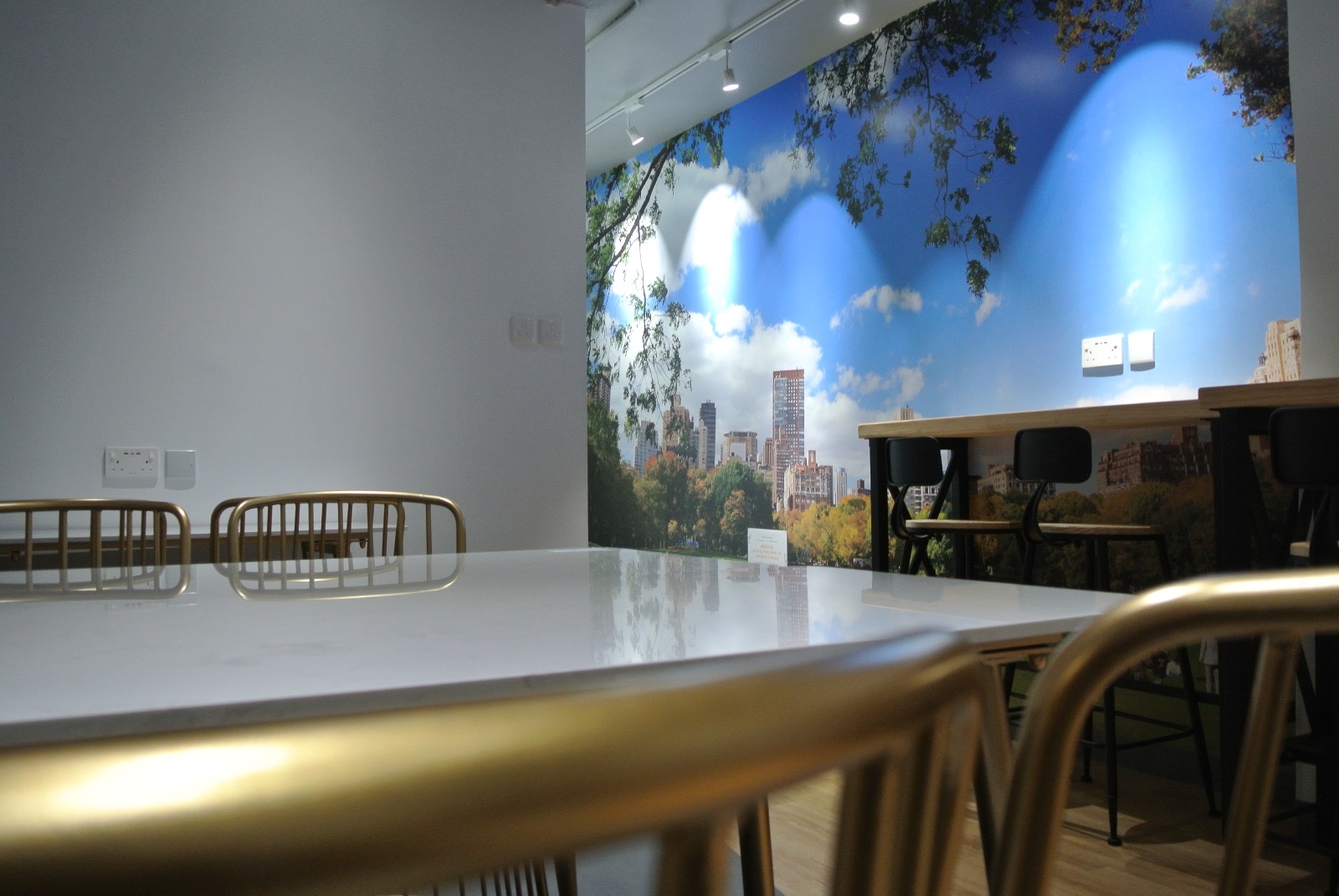 The Volks Gathering image 5