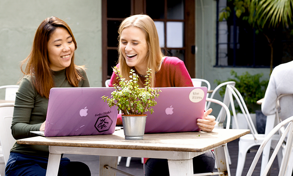 the Hive (Sai Kung) image 3