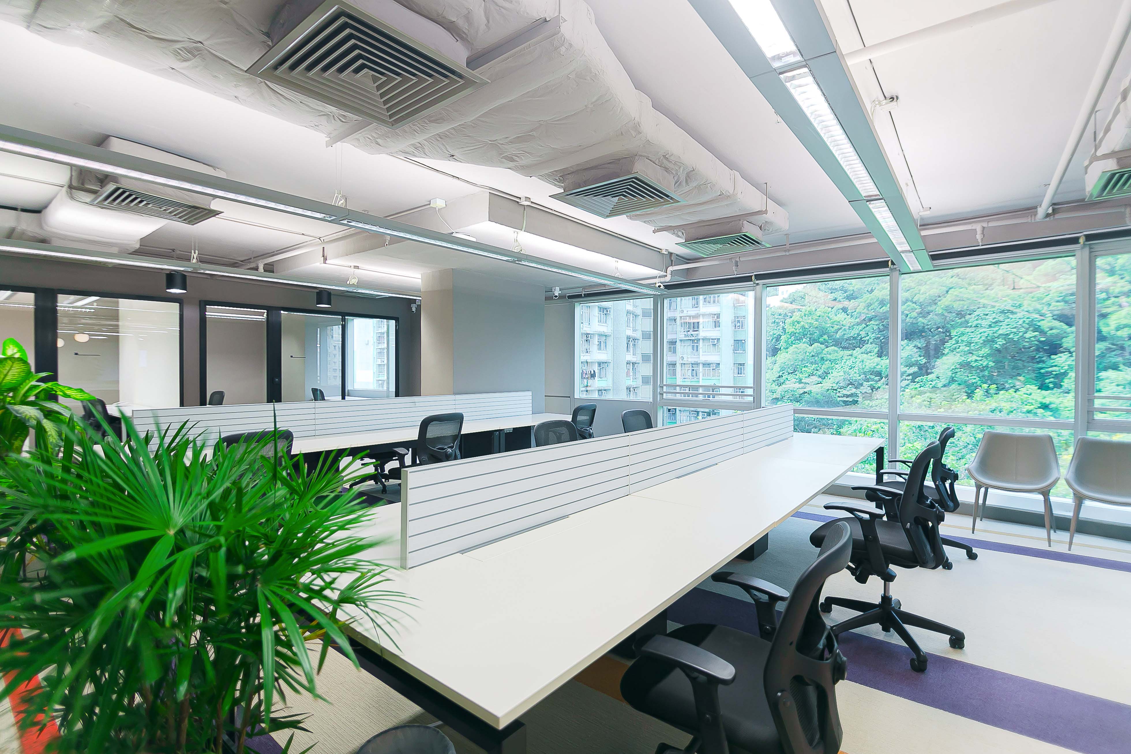 Ooosh Island East image 5