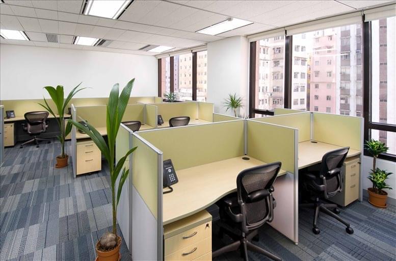 Springboard Pacific image 5