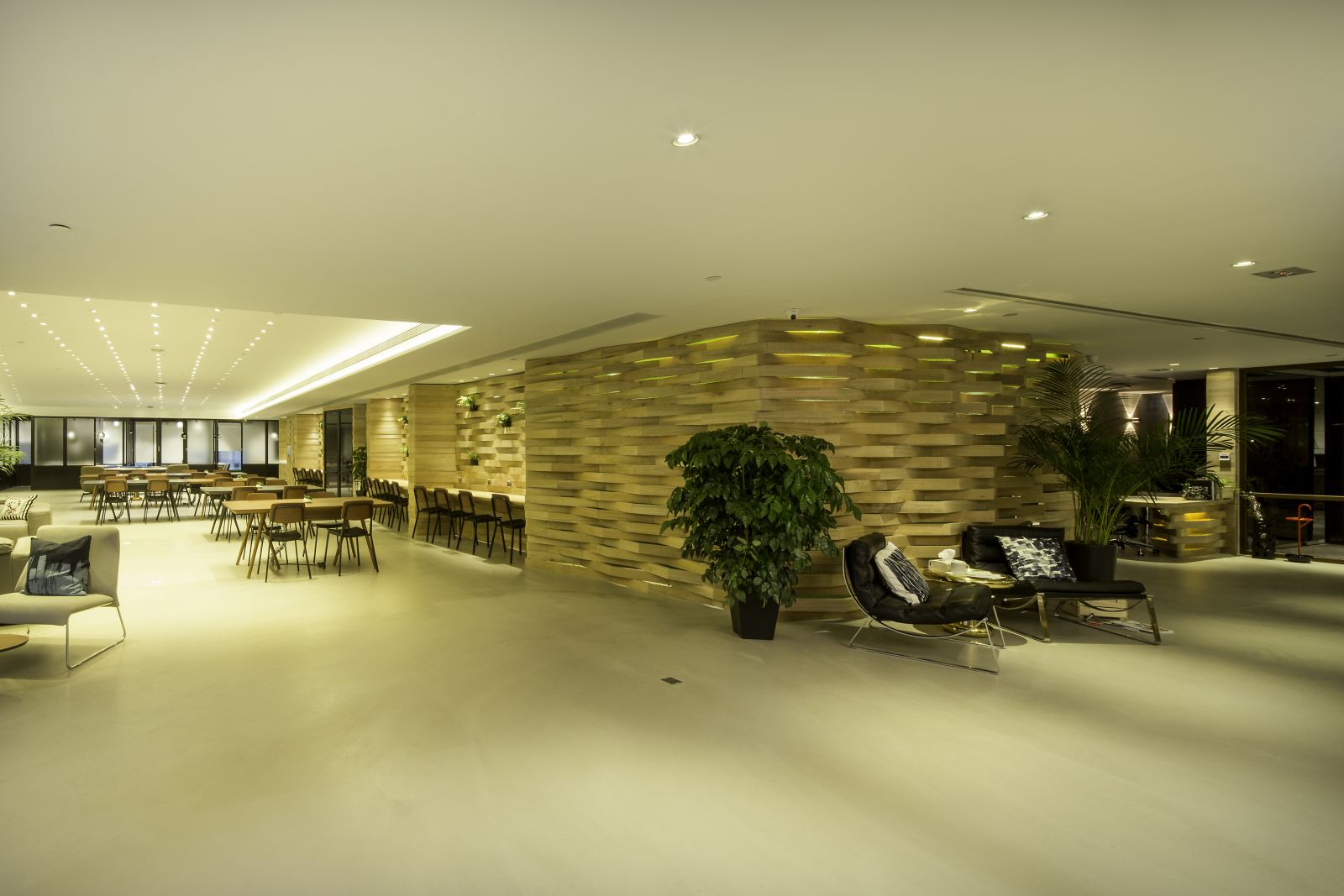 Mustard Seed image 4