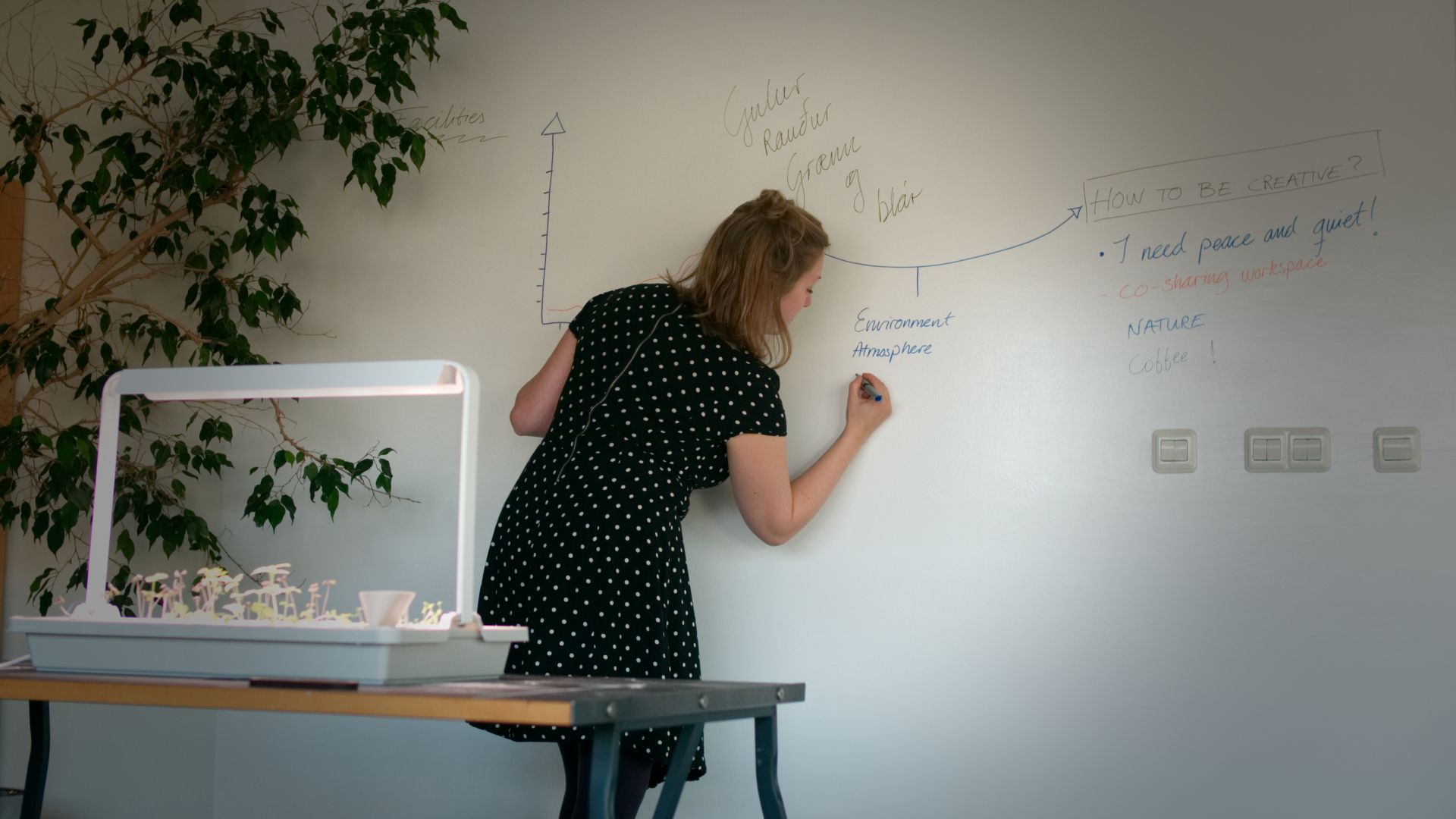 The Blue Bank image 4