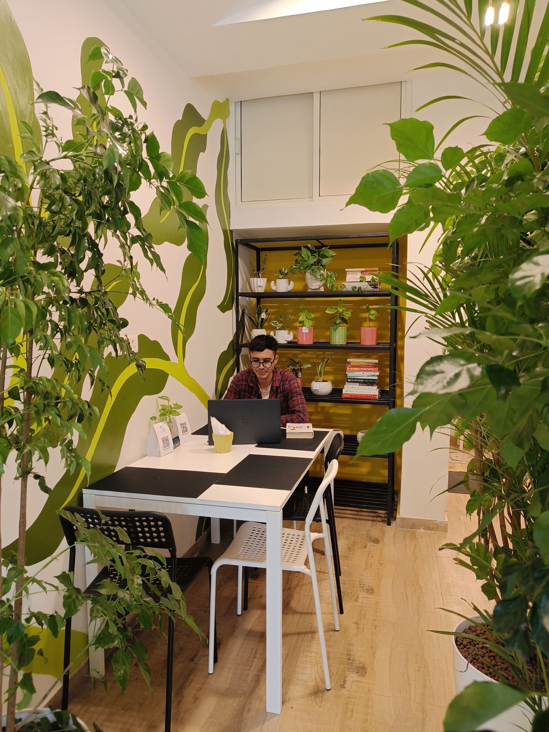 Crazy Plant Lady Co-working Space image 3