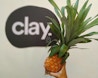 Clay - Coworking for Creative Minds image 0