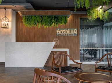 Anthill IQ workspace image 5