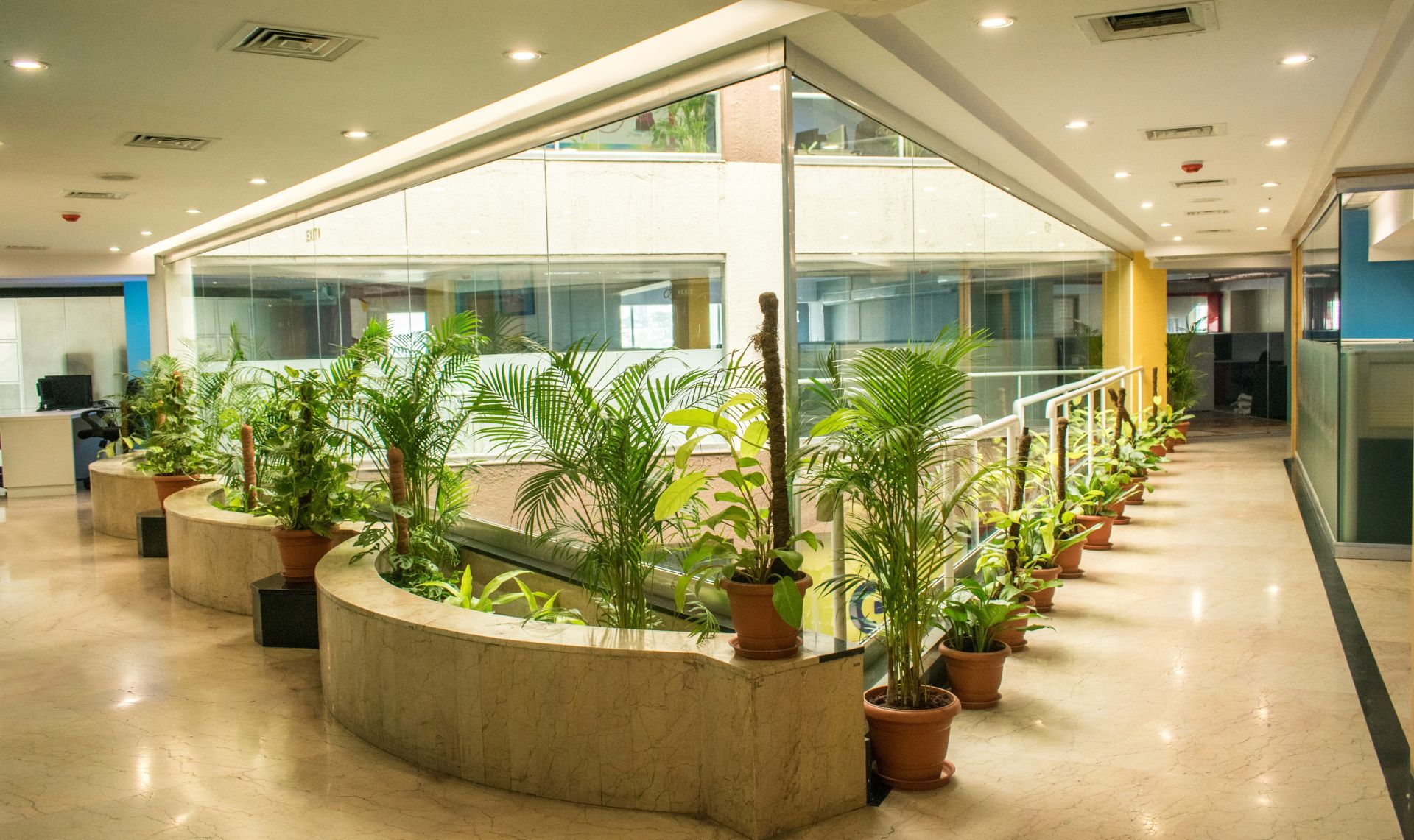 Cove Richmond image 5