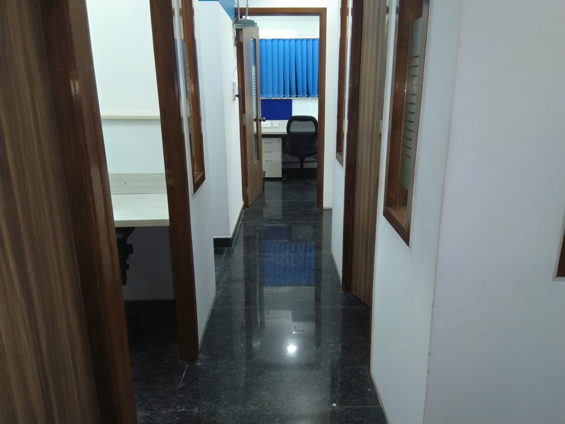 Dolpin Connects image 4