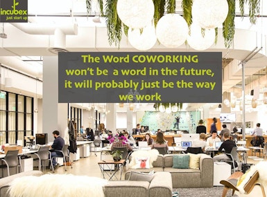 Incubex HSR1 image 5