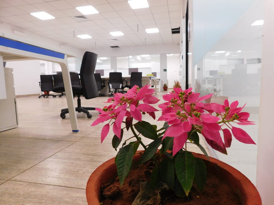 SKYS ADOBE COWORKING image 2