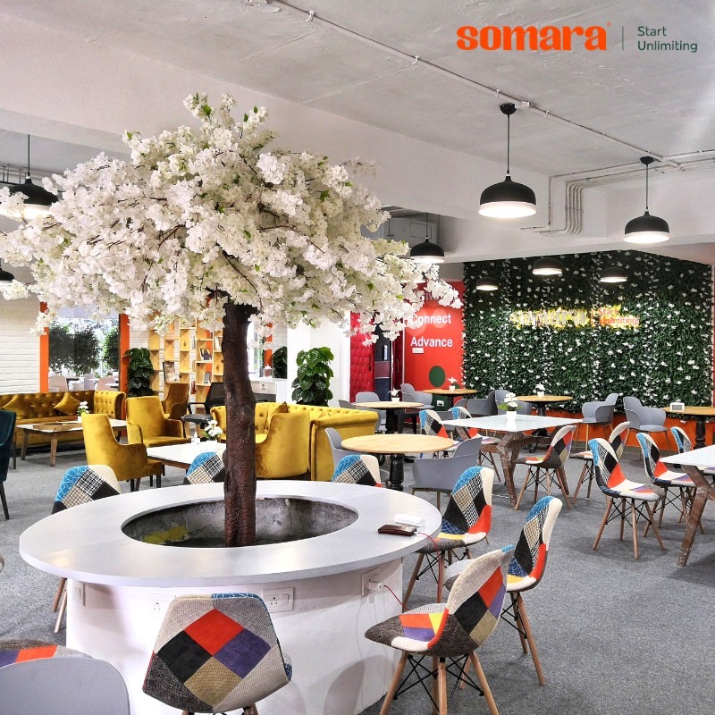 Somara - cafe & co-working image 4