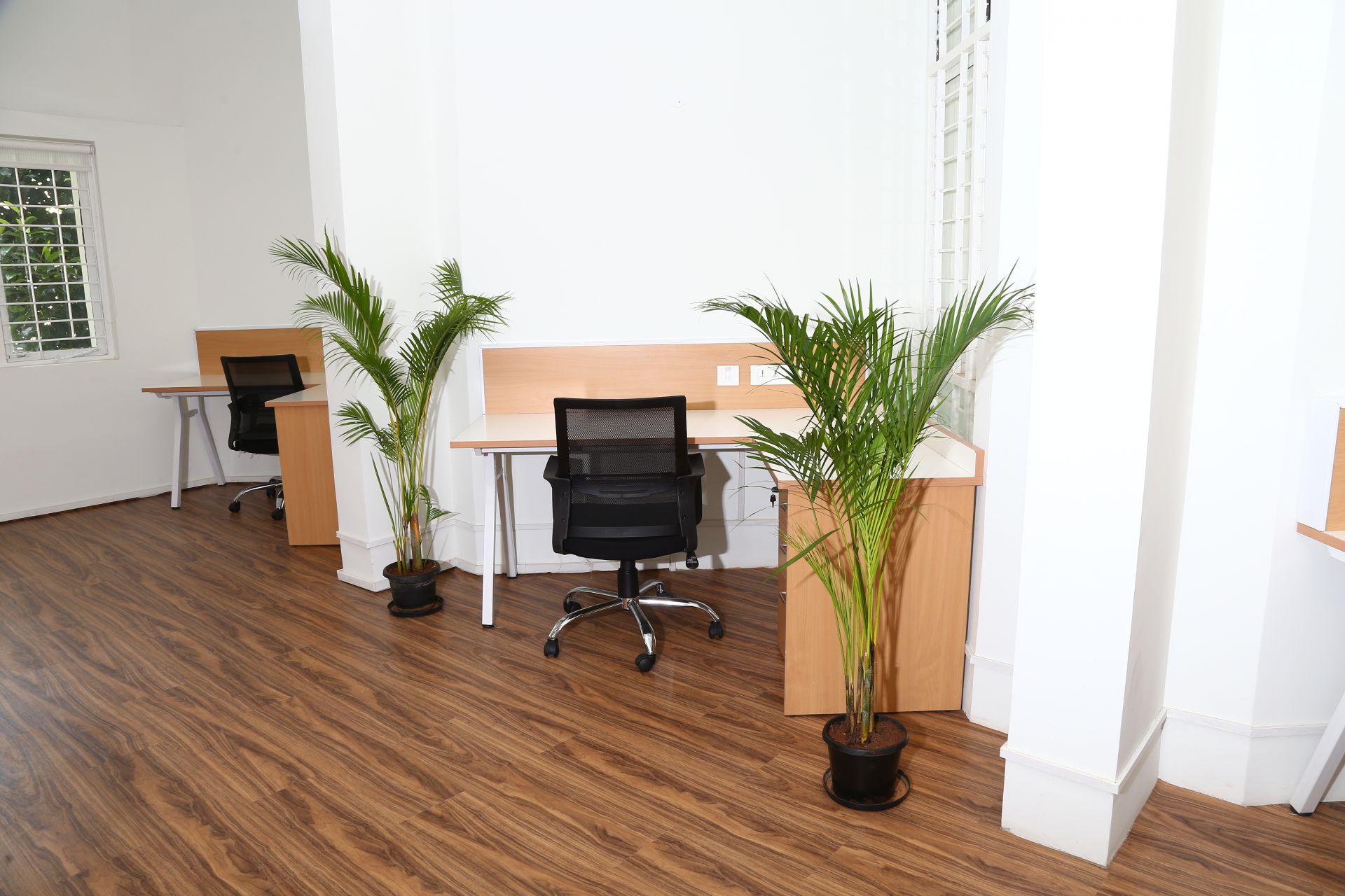 St Johns Health Innovation Foundation image 2