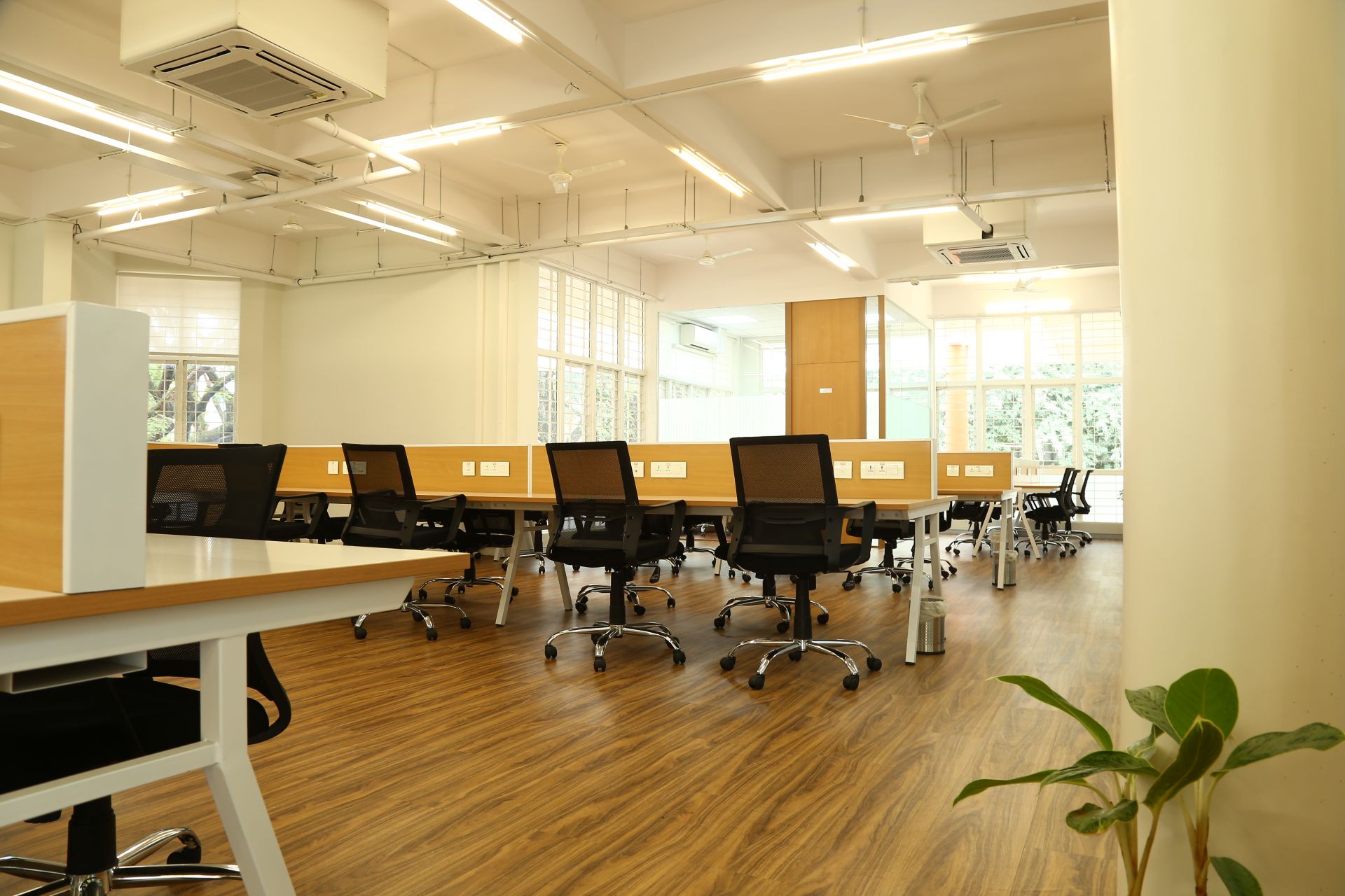 St Johns Health Innovation Foundation image 4