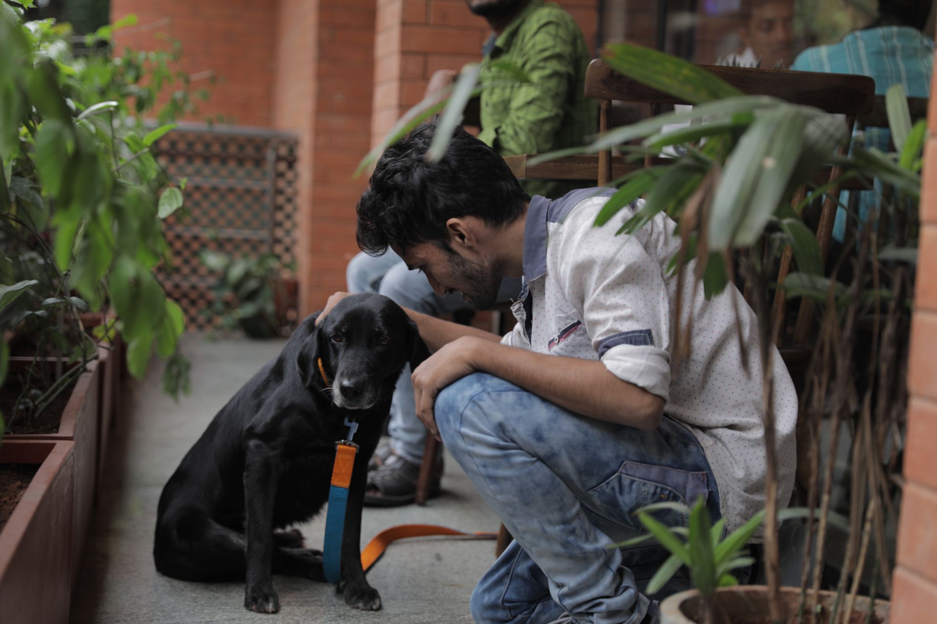 The Bangalore Bakery image 5
