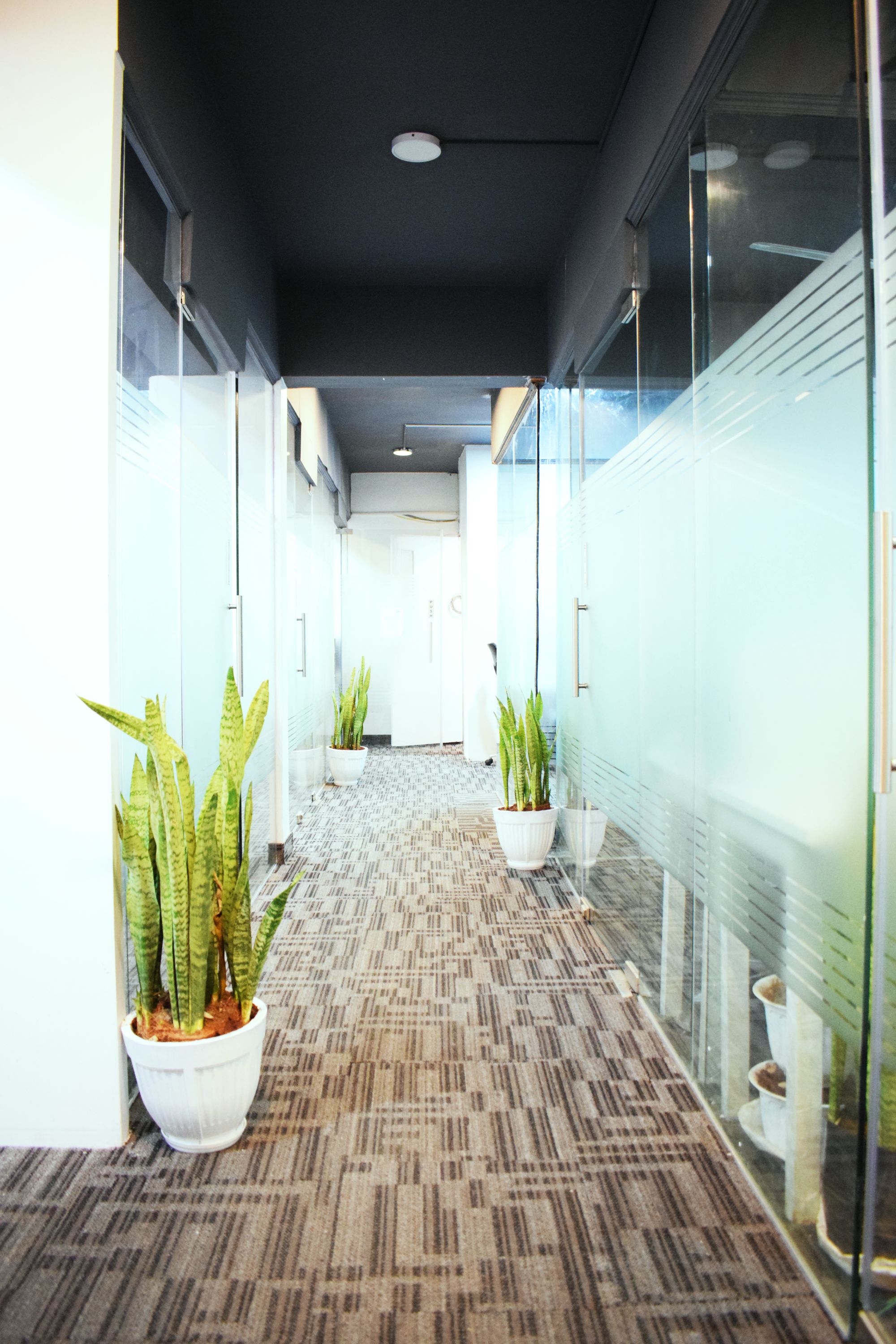 Vibranium Inside image 4