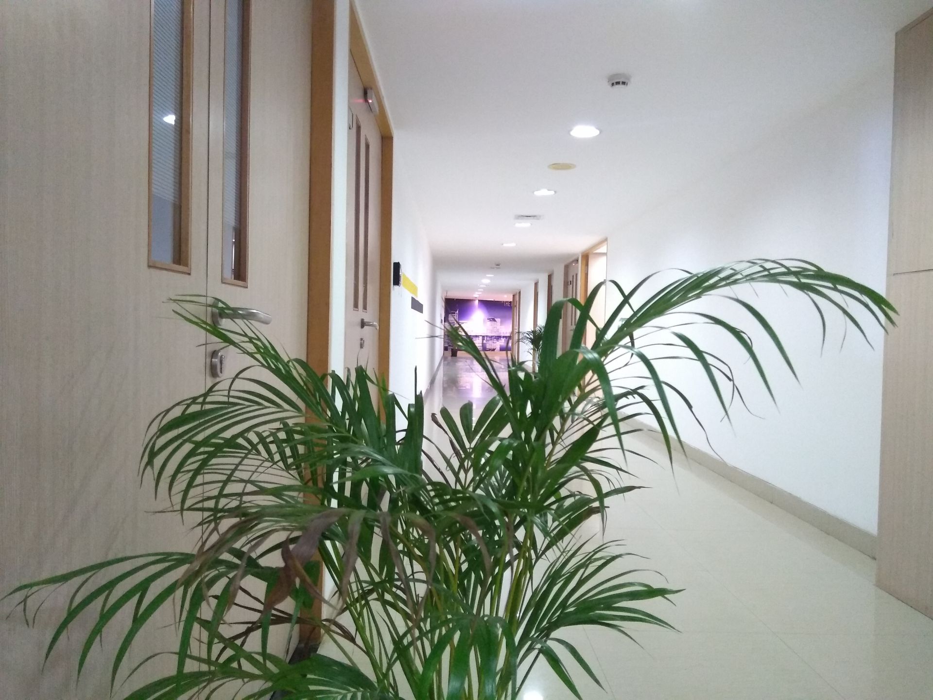 CONCLO office space solutions image 4