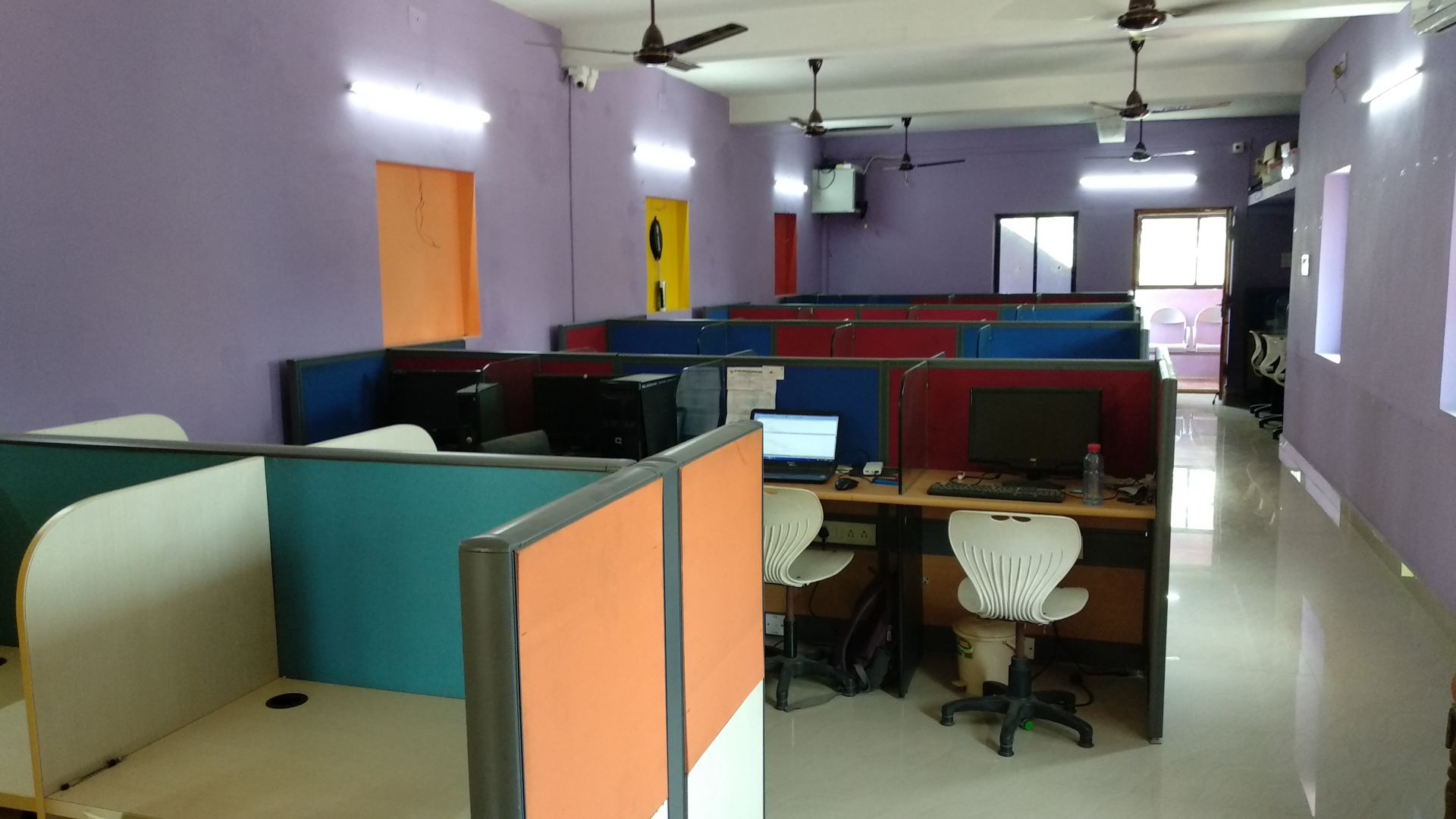 Office Tiger image 4