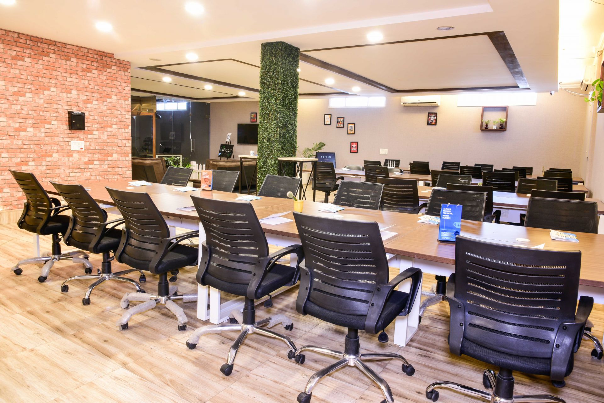 CoNexus Life image 3