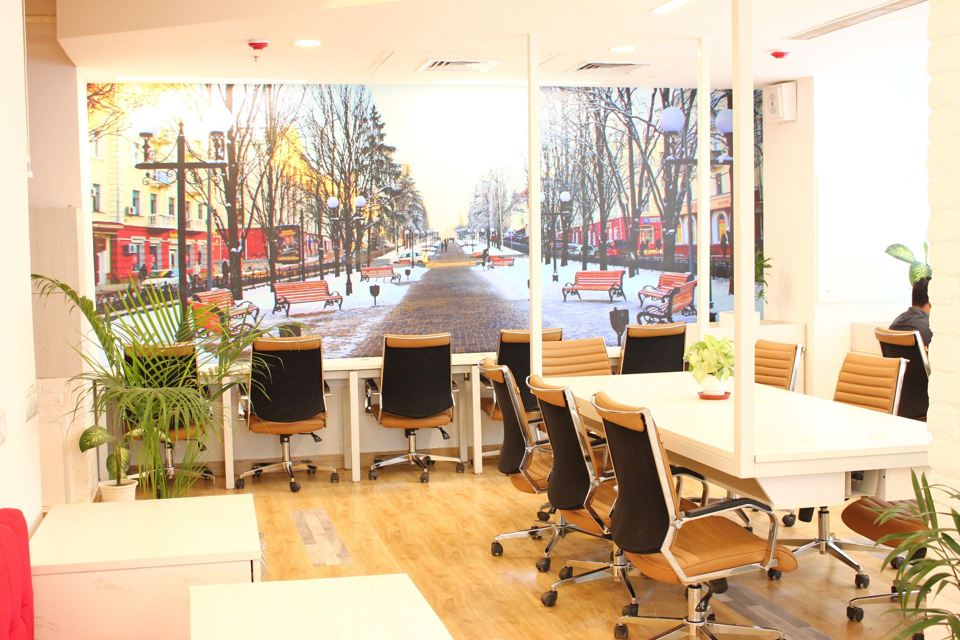 The Office Pass Dlf Corporate Greens Office Gurugram Book Online 