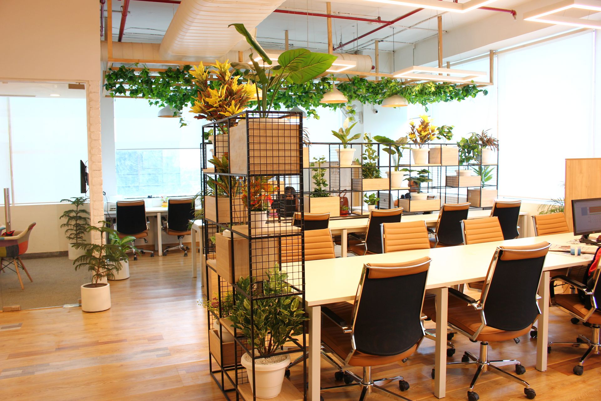 The Office Pass Dlf Corporate Greens Office Gurugram Book Online 