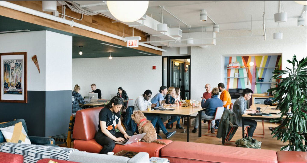 WeWork 32nd Milestone image 5