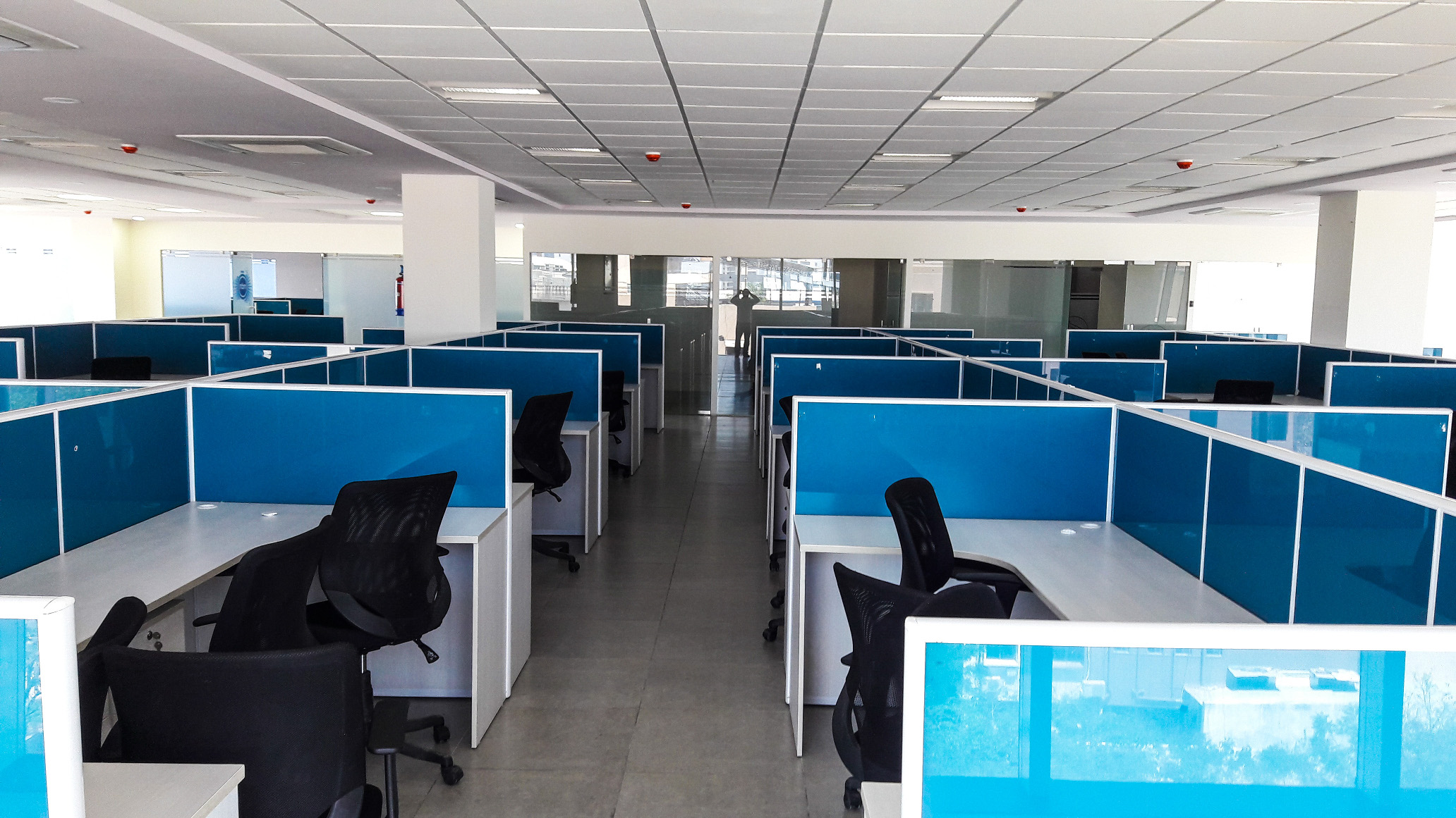 Autonetic Spaces profile image