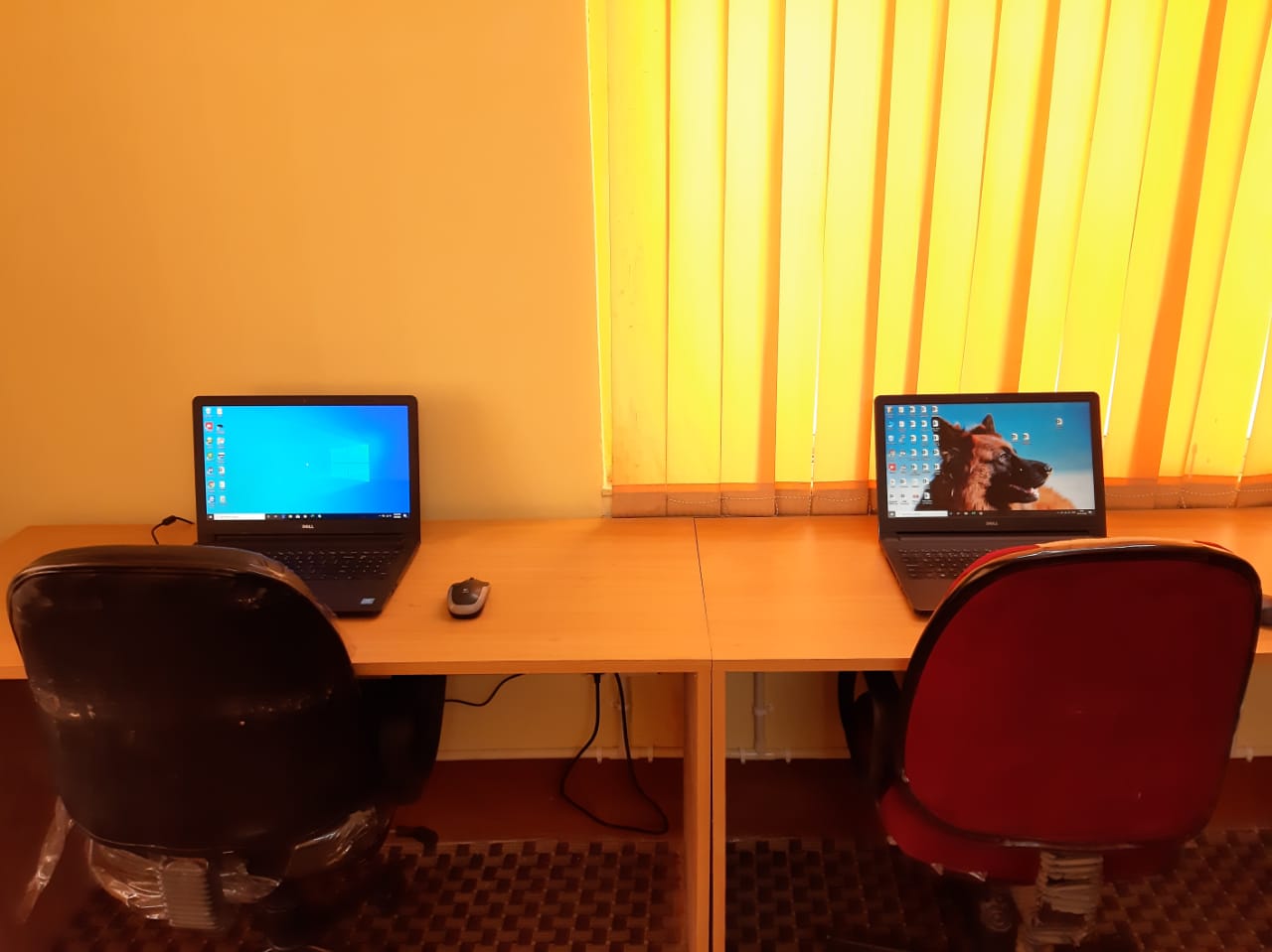 Texcial CoWork image 2