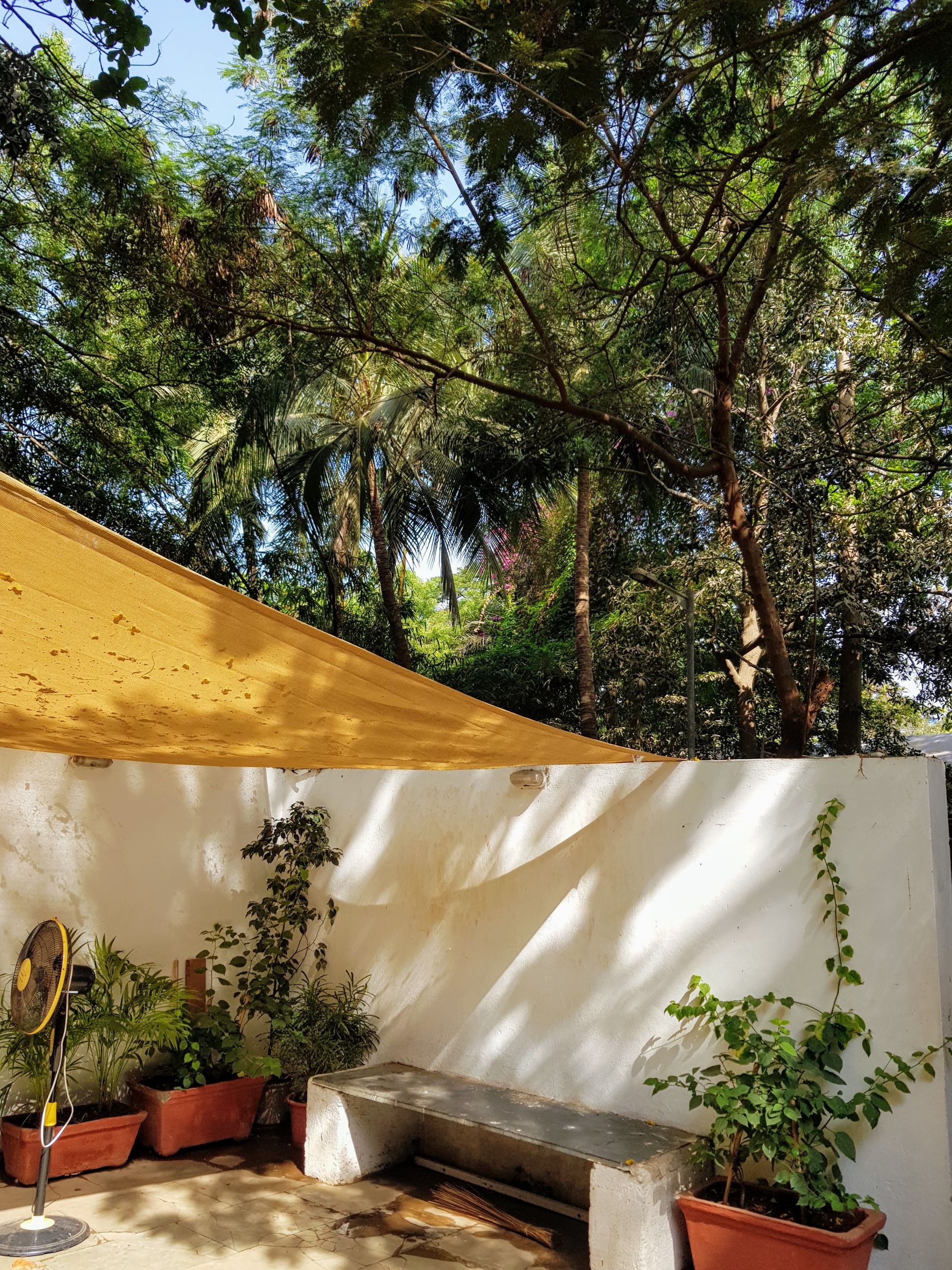 Native Spaces image 3