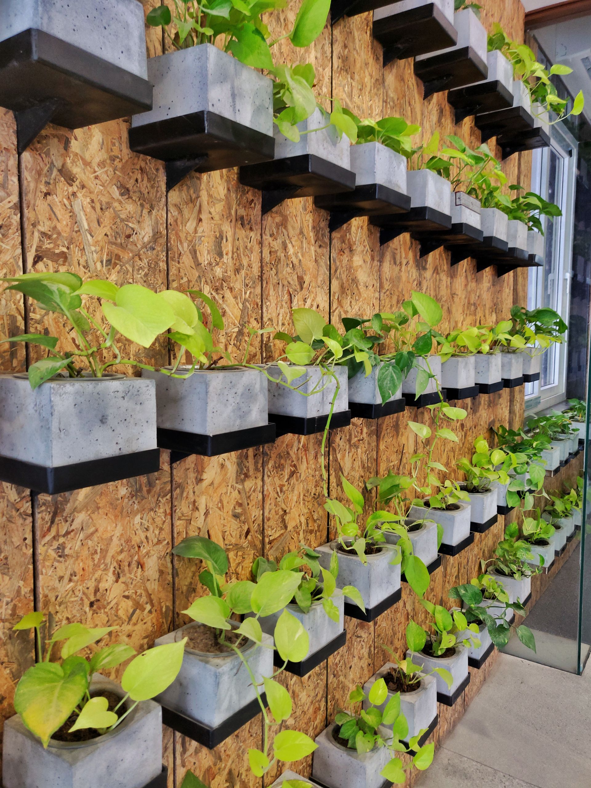 Eccosphere Coworking image 4