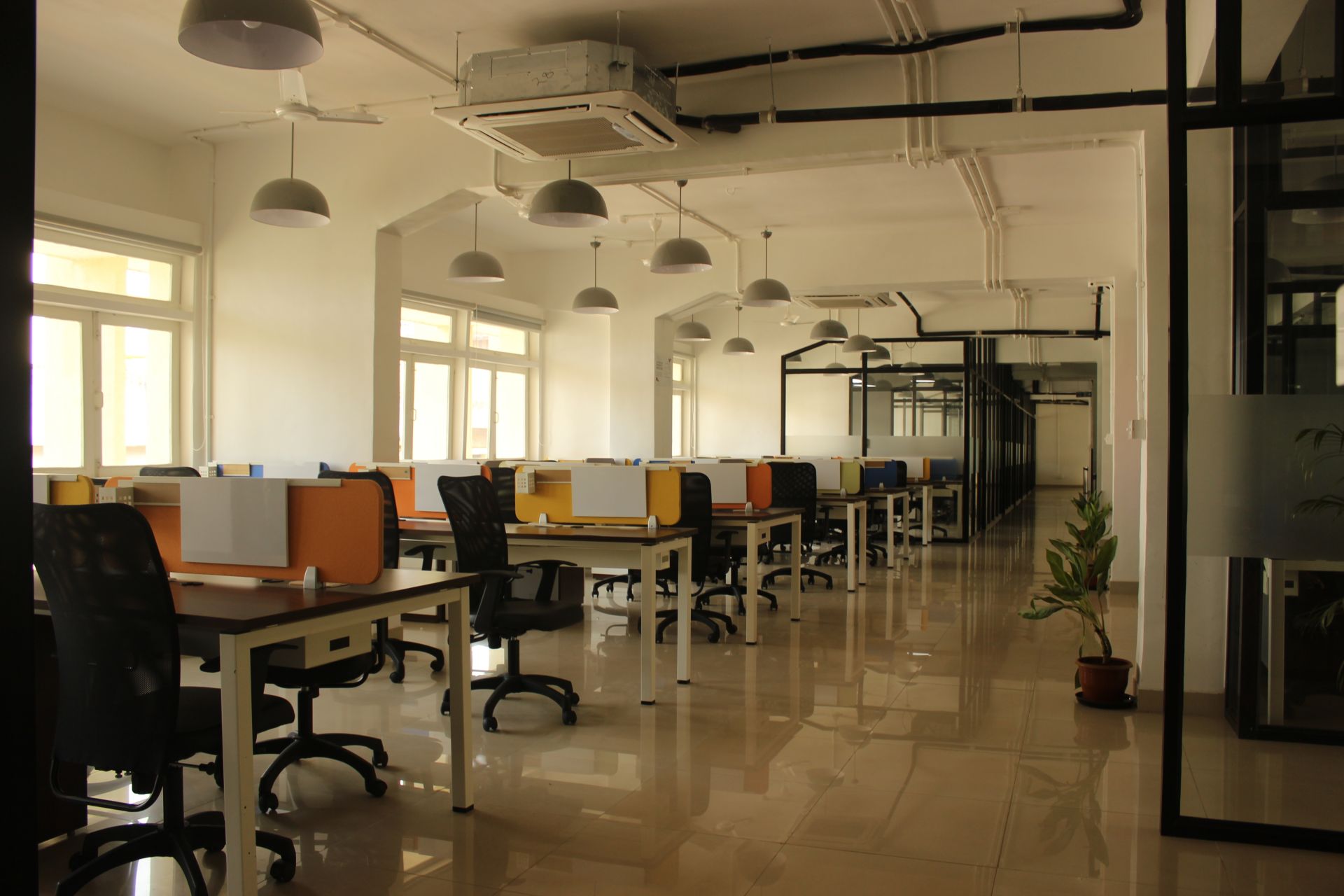 91springboard image 3