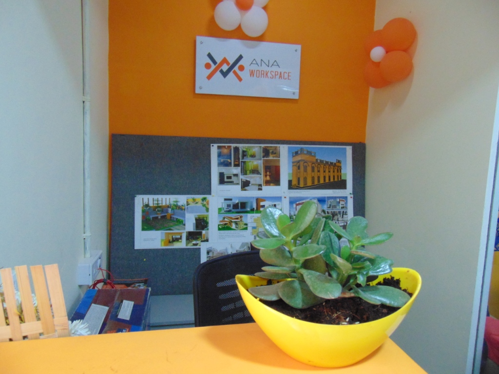 ANA Workspace image 2