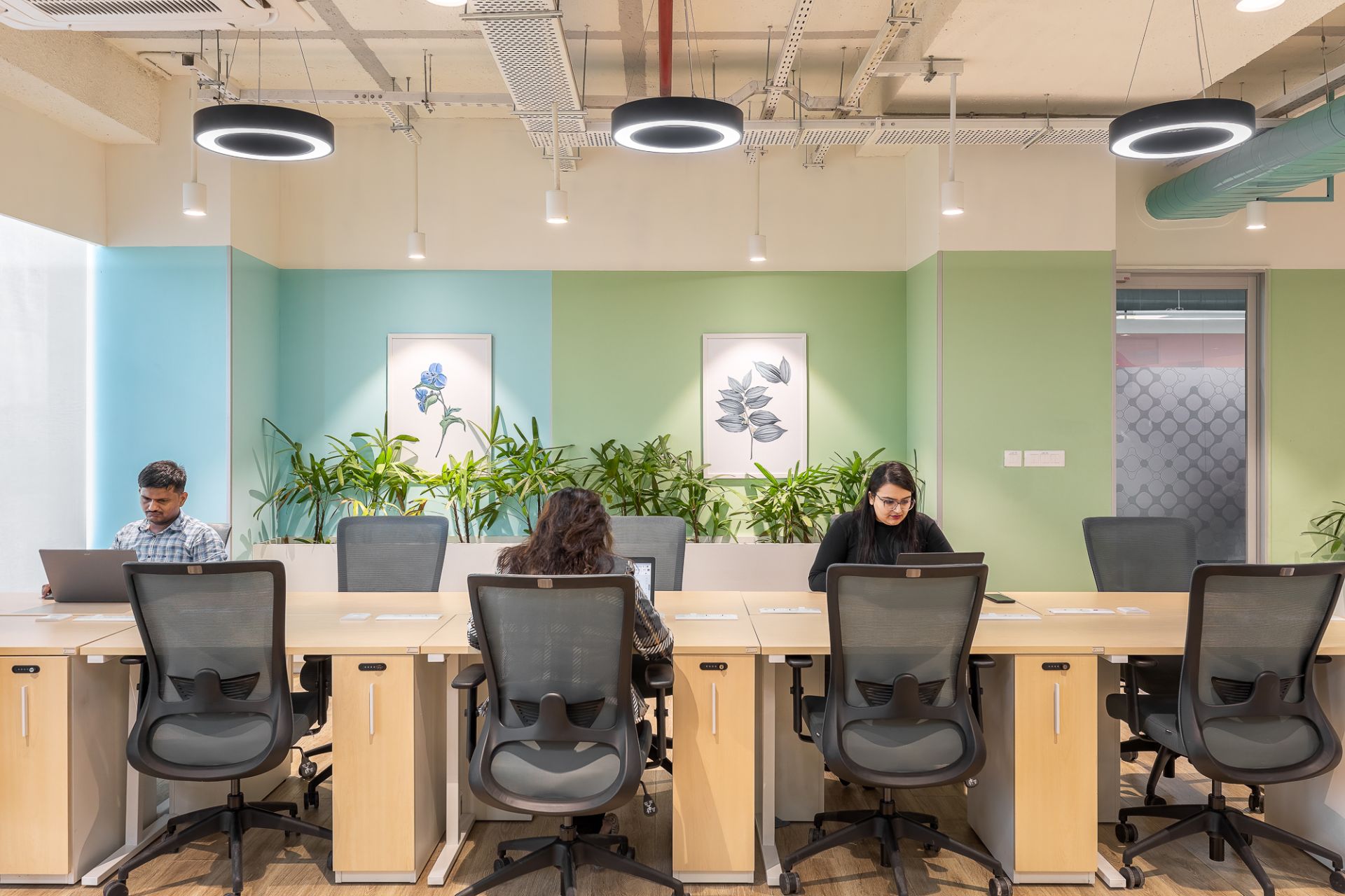 91Springboard image 5