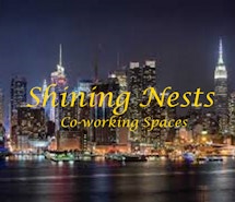 Shining Nests profile image