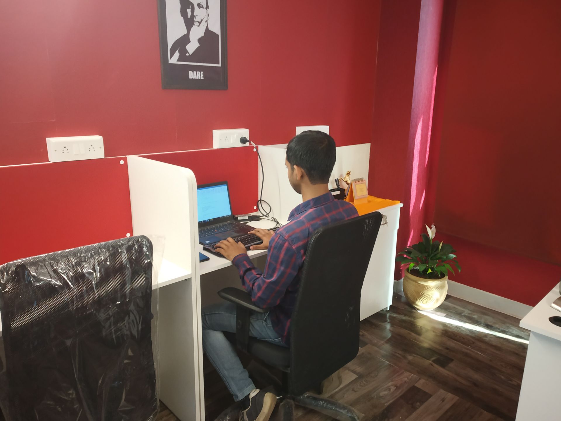 Startup Stallion image 2