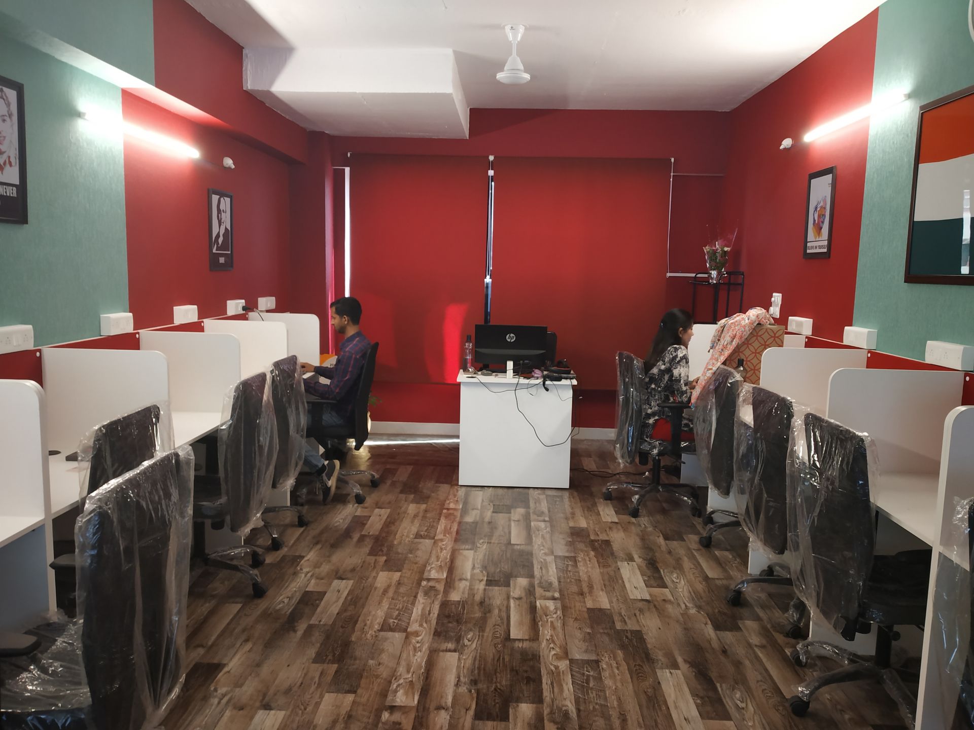 Startup Stallion image 4