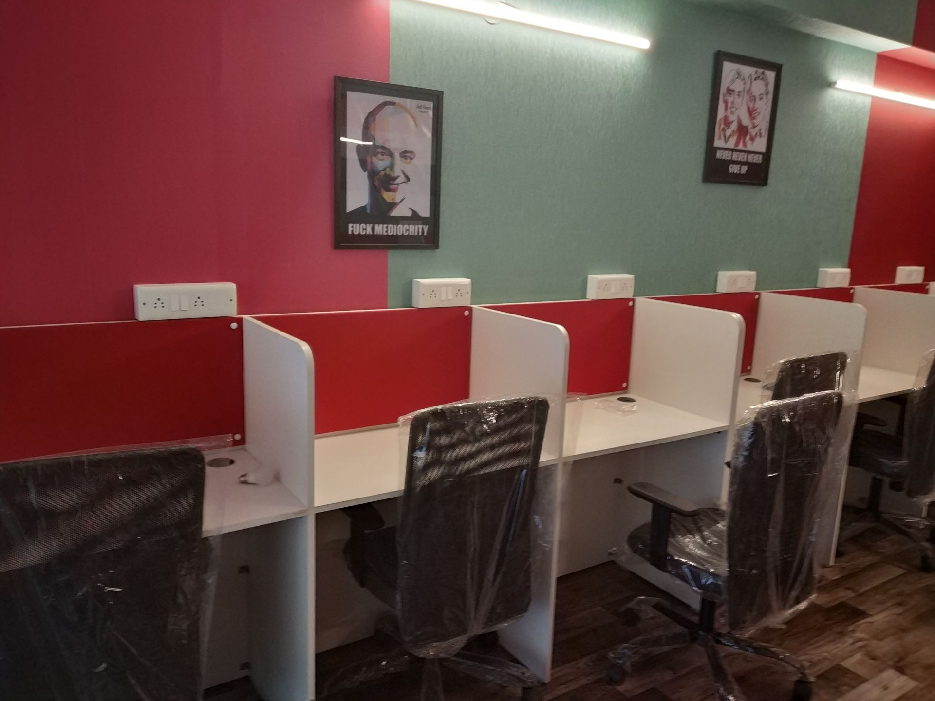 Startup Stallion image 5