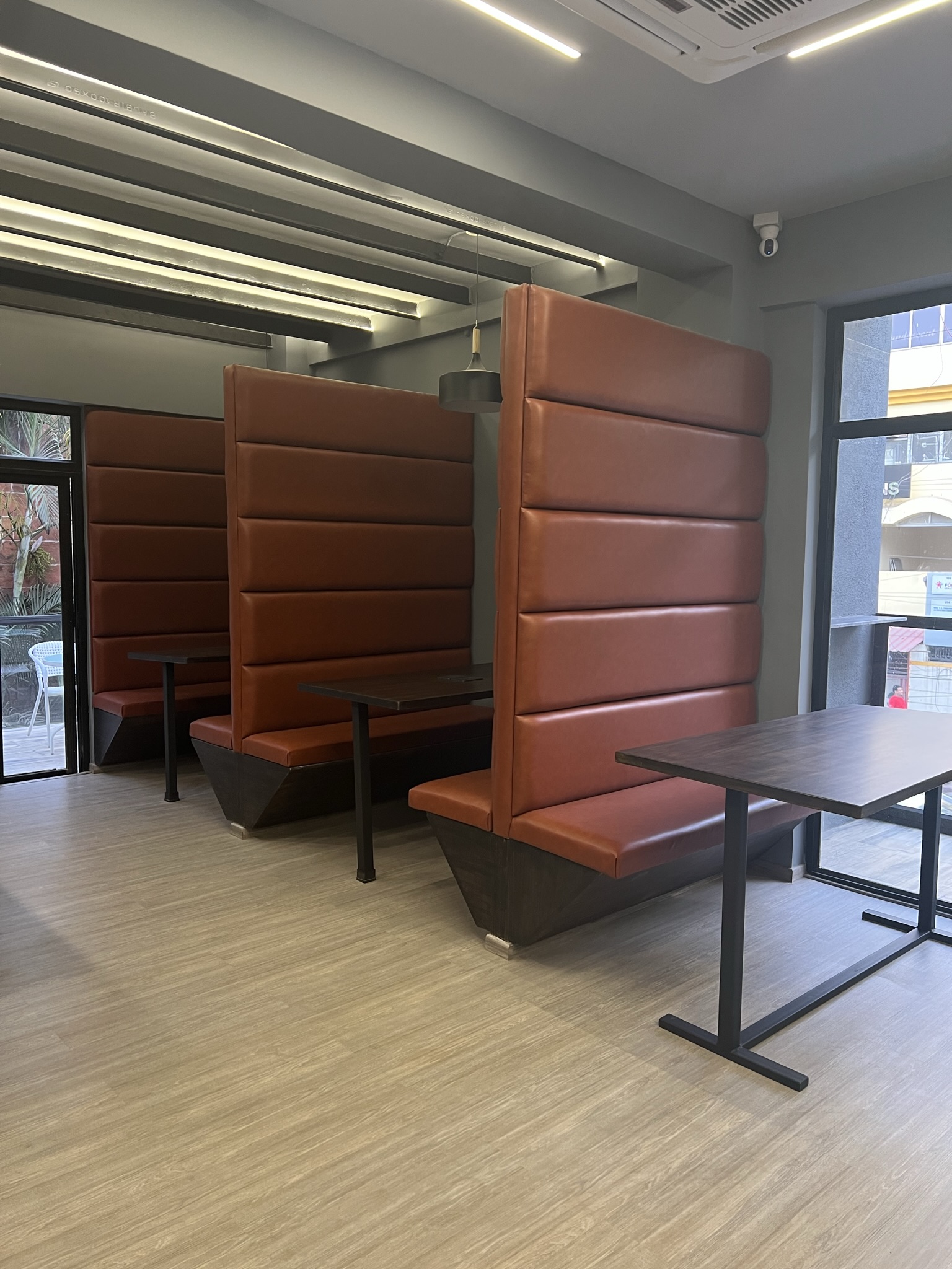 The Missing Link image 2