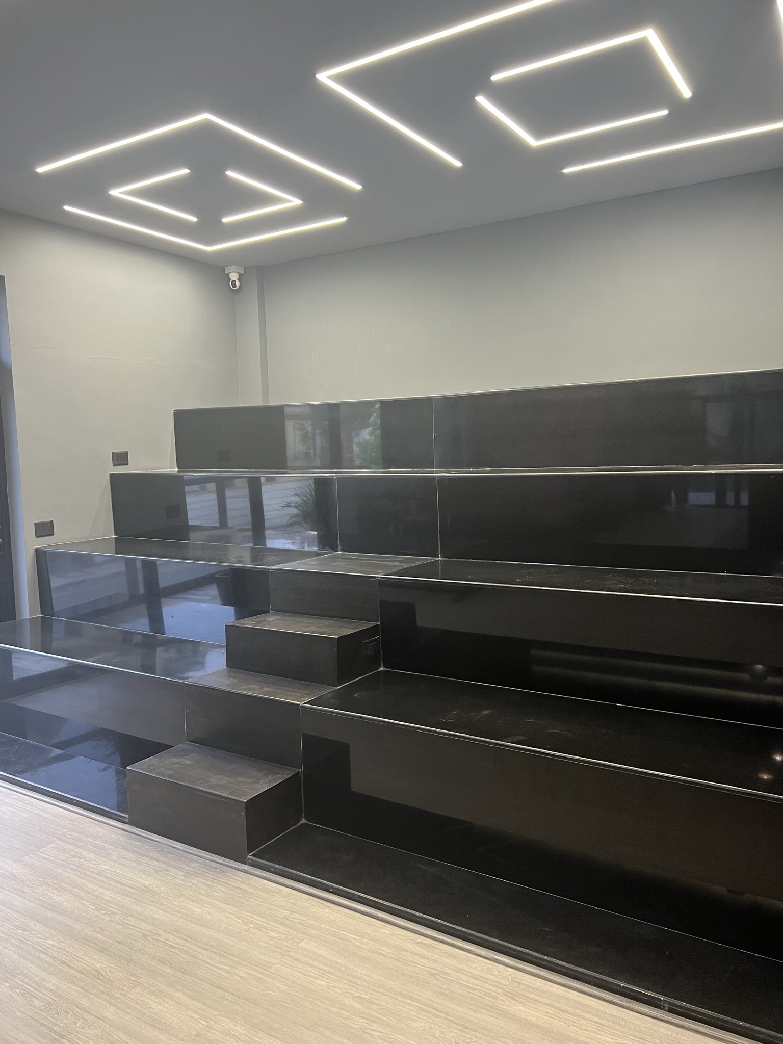 The Missing Link image 5