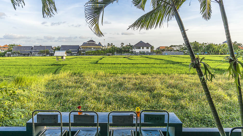 district canggu image 5