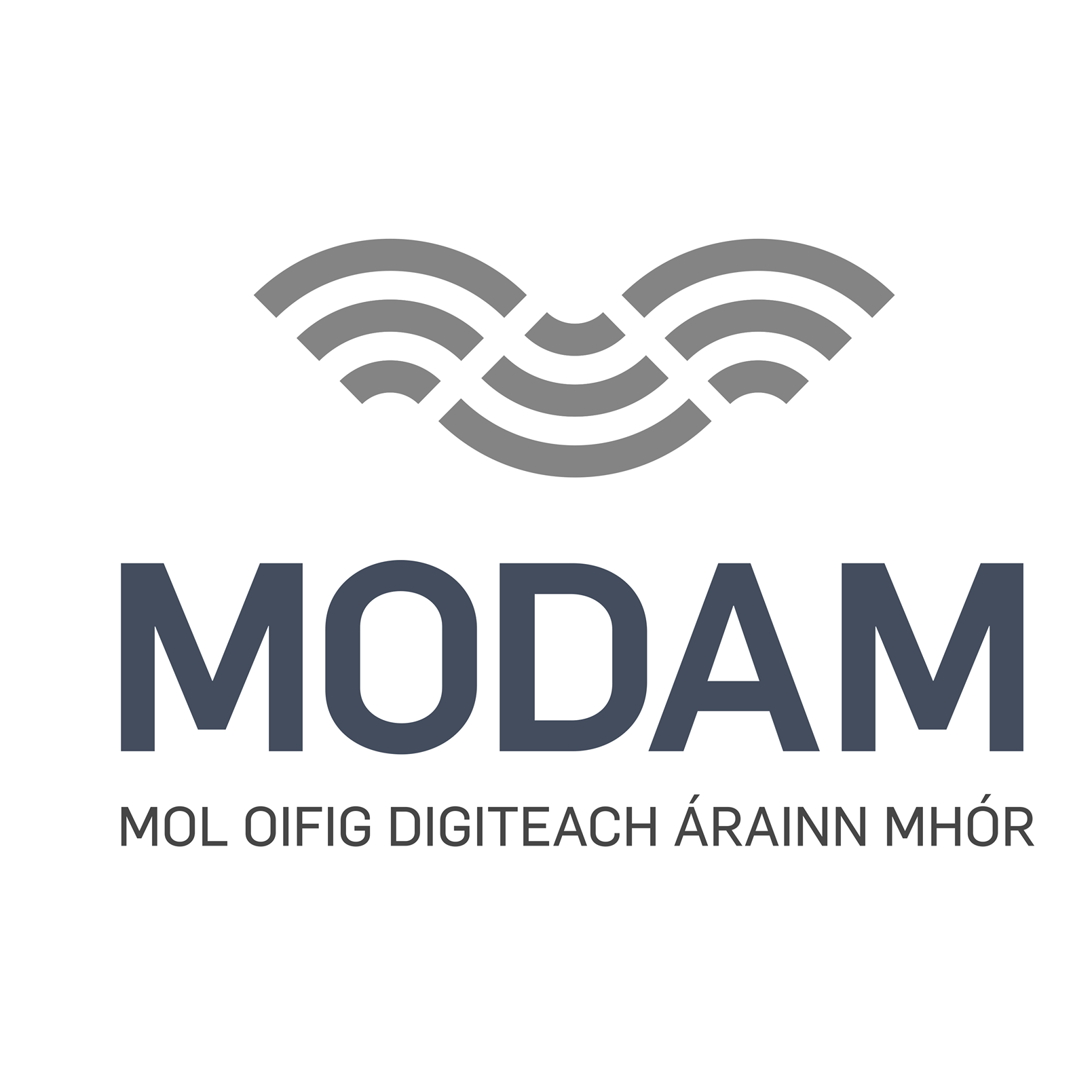 MODAM image 2